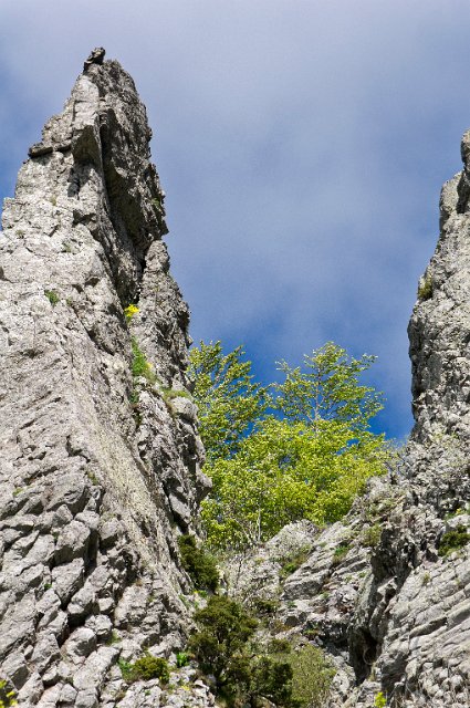 0076Col de Guery.jpg - SONY DSC